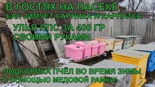 В ГОСТЯХ НА ПАСЕКЕ КАК ЗИМУЮТ ПЧЁЛЫ КАРНИКА УЛЬЯ ППС СВОИМИ РУКАМИ😉👍🐝