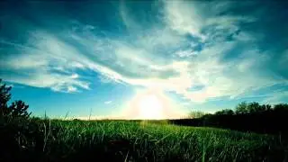 Christian Fischer - Kolibri