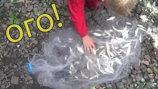 Рыбалка на кастинговую сеть! Ловля Уклейки! 3 кг за один заброс кастинговой сети!