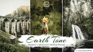Earth Tone | Lightroom editing | Lightroom Mobile Preset Free DNG