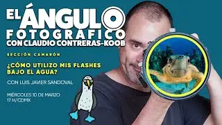 ¿Cómo utilizo mis flashes bajo el agua?