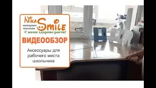 Аксессуары для обустройства рабочего места школьника