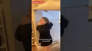 Маленькая девочка очень радуется подарку / весёлая утка