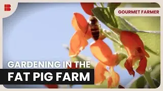 Fat Pig Farm Gardening - Gourmet Farmer - Food Documentary