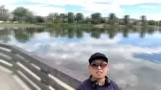 Америка. Офис Google в Торнтоне. Озеро Hunters Glen. Денвер, Колорадо, США