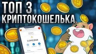 Где хранить криптовалюту? Какой криптокошелек лучше? Как я потерял $7000?