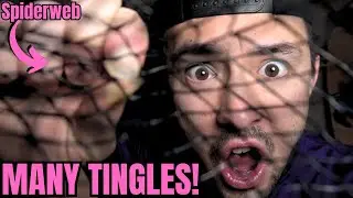 tingles tingles tingles tingles tingles BRO