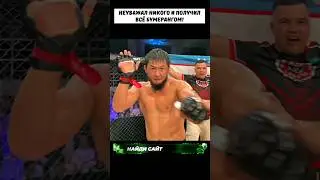 Наглец УНИЖАЛ всех своих соперников и НАРВАЛСЯ на казахского нокаутёра ! 
