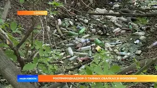 Росприроднадзор о тайных свалках в Мордовии