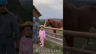 В гостях у вівчарів на полонині в Карпатах. Підписуйтесь на мій канал #MilanaLind
