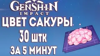 COLOR OF SAKURA (sakura bloom) 30 PIECES FOR 5 MINUTES [Guide] [Route] ► Genshin Impact