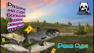 РУССКАЯ РЫБАЛКА 4 | РАЗДАЧА ТРОФЕЕВ НА РЕКЕ СУРА
