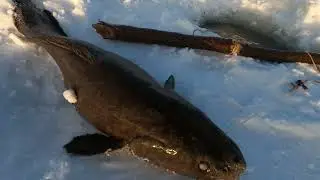 ЖЕСТЬ! Зимняя рыбалка в минус 47гр!  03 12 2023г. 4К.