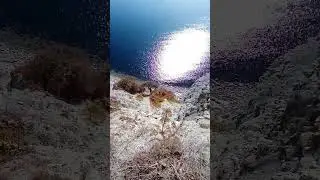 Высота высоты😁
