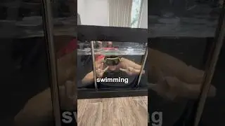 I Turned my Bed into a Swimming Poool😂