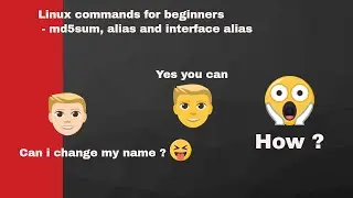 Linux commands for beginners | Linux [md5] [alias] [interface] command | Hands on experience Linux