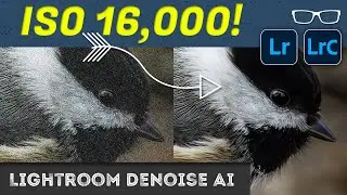 Master Lightroom Denoise AI with this Comprehensive Guide!
