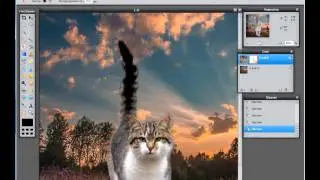 Вырезаем кота в Фотошоп-онлайн