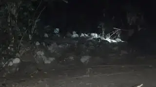 sensasi malam di Makam Sesepuh Desa&kirim doa bareng ibnu fauzy & adipati seger