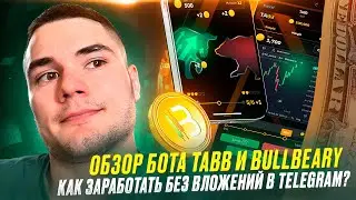 Как заработать без вложений в Telegram? Обзор бота Tabb и BullBeary
