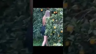 Поймал воровку апельсинов и... 😳 