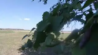 Волчье деревня в Азовском немецком национальном районе Омской области/Volchye is a village