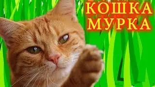Mister Max с Miss Katy в ШОКЕ ищут кошку Мурку / Мистер Макс и Мисс Кэти by Étoile Tube