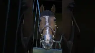 PART 1: Starting with a bang at Spendthrift Farm’s breeding facilities with Joey Mulinaro. #horses