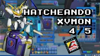 HATCHEANDO XVMON 4/5 - Digimon Masters Online - VonKa