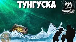 Супер Клёв на Тунгуске/43 ЛВЛ Апнул/ Русская Рыбалка 4/Стрим Медведя
