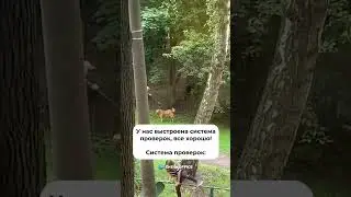 Используйте CheckOffice, чтобы выстроить эффективную систему проверок 