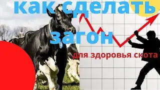 как сделать загон для скота