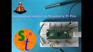 Raspberry Pi Pico with DS18B20 1M sensors with Micropython