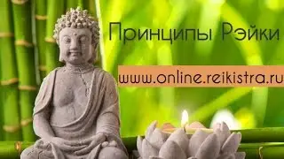 Ольга Носикова. Пять принципов Рэйки
