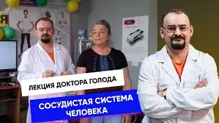 Сосудистая система человека. Лекция Доктора Голода