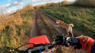 Honda atc200x with Chinese engine 250cc