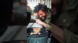 DON’T TRUST STRANGERS! 😱 | INCREDIBLE CAT STORY