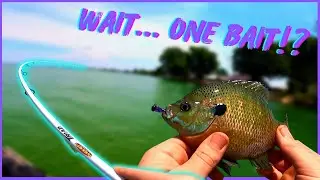 THIS ONE BAIT Will Catch You 100 Fish!  Ultralight Mule Fishing Minnow