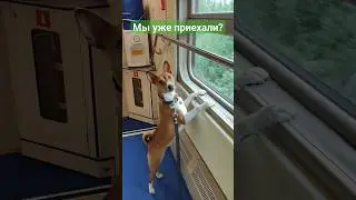 Мы уже приехали? 