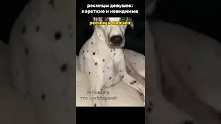 ресницы девушек/ парней || тгк - m1dzumah #meme #юкан