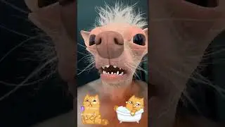 Бременские музыканты