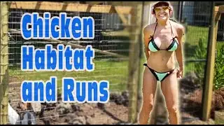 How To Build The Perfect Chicken Coop Now!
