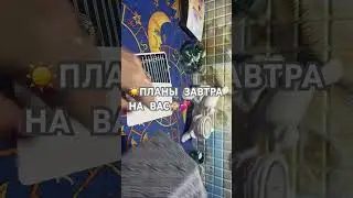 5 июля 2024 г.