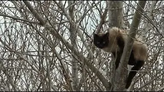 Деревня, рыбалка,  съемка клещей.