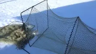 Как наловить много РЫБЫ, очень просто - Рыболовная мережа которая ловит всю рыбу вокруг ВАС.