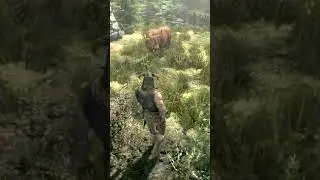 Вы чего, это всего лишь курица! Скайрим #Shorts