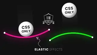 CSS Elastic Line Animation Effects _ CSS SVG Animation 