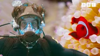 Andy's Reef Adventure 🪸 🦈 | Andy's Aquatic Adventures | Andy's Amazing Adventures