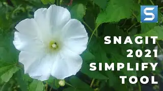 How to Use Snagit 2021 Simplify Tool