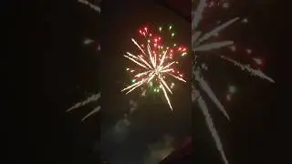 С новым 2024 годом!!! #нг #shorts #2024 #новыйгод
